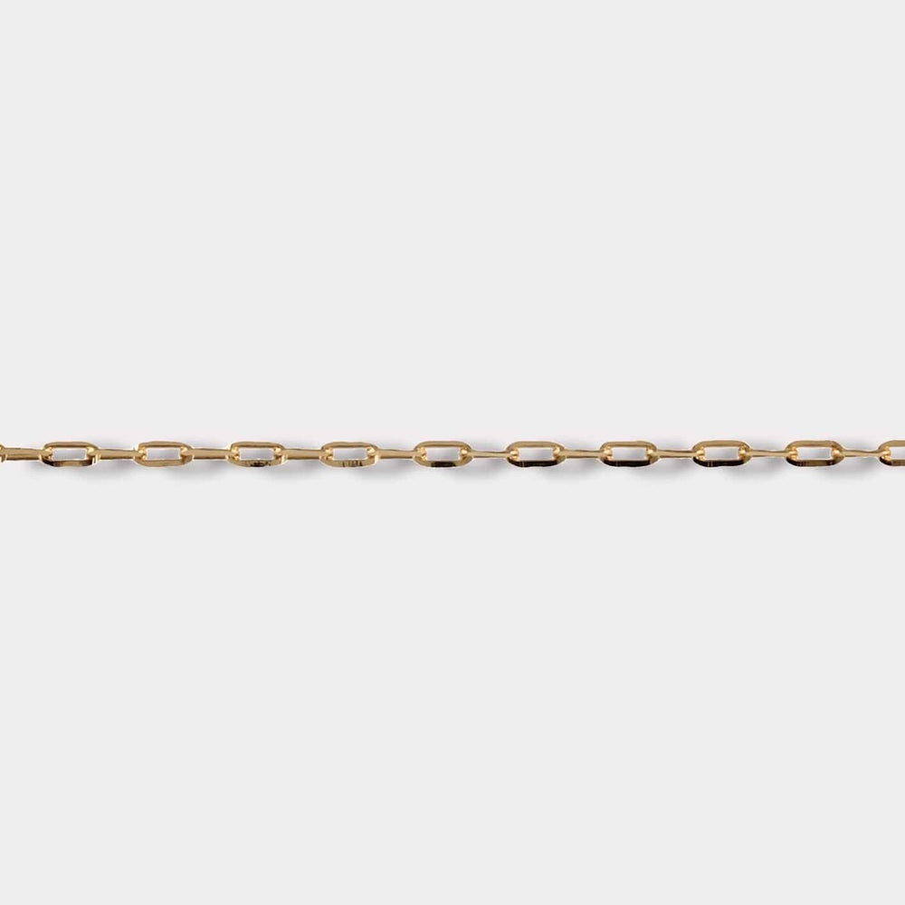 Goldbox Amsterdam Necklace Forzatina Necklace