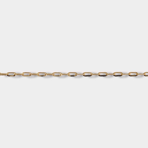Goldbox Amsterdam Necklace Forzatina Necklace
