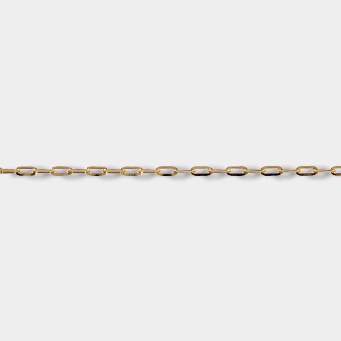 Goldbox Amsterdam Necklace Forzatina Necklace