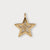 Goldbox Amsterdam Pendant Star Pendant